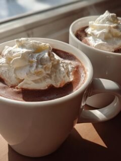 Two white mugs filled with rich Red Wine Hot Chocolate topped generously with whipped cream, sitting by a sunny window.