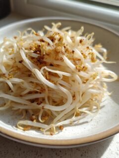 Close-up of saut&eacute;ed bean sprouts with browned garlic bits, served on a speckled white plate.