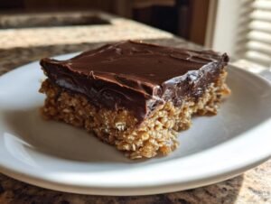 16 Amazing No Bake Chocolate Peanut Butter Oat Bars